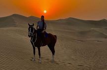 Doha Horseback Riding Adventure in Desert with Transport 