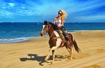 Doha Horseback Riding Adventure in Desert with Transfers