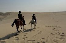 Doha Horseback Riding Adventure in Desert with Transport 