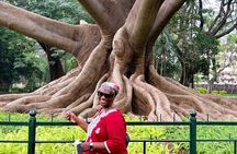 Discover Bangalore Through the Ages — Guided Tour with Lunch