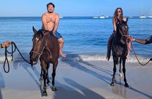 Private Evening Horse Ride on the Beach
