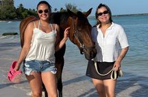 Private Evening Horse Ride on the Beach