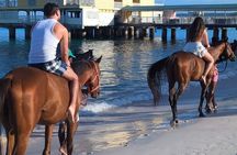 Private Evening Horse Ride on the Beach