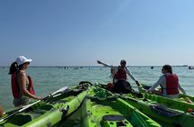 Kayaking & Snorkeling: Porto Cesareo and Rabbit Island
