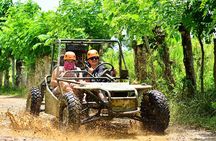 Zipline / Buggy/Coconut Factory/ Macau Beach / Water Cave