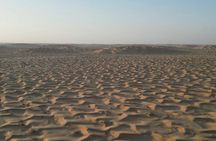 desert safari tour in salalah (overnight tour)