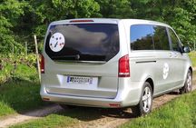 Fronton Small Group Wine Tour from Toulouse