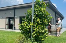 Volcano Etna Tour Wine Tasting Lunch in the Cellar Transfer