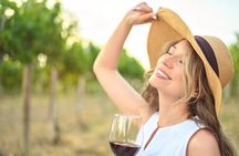 Volcano Etna Tour Wine Tasting Lunch in the Cellar Transfer