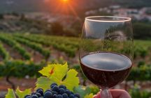 Volcano Etna Tour Wine Tasting Lunch in the Cellar Transfer
