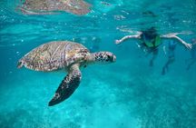 Mayan snorkeling (Akumal-Cenote-Caverna)
