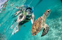 Mayan snorkeling (Akumal-Cenote-Caverna)