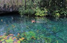 Tour Tulum 4 Cenotes and Traditional Food in Villa Maya