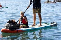 Paddle Boarding & Waterfall Full Day Tour