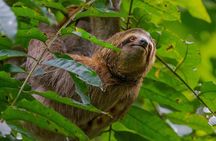All Inclusive National Park Manuel Antonio with Binoculars
