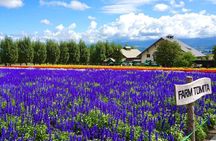 Hokkaido Day Tour Farm Tomita, Blue Pond, Blue Pond and Buffet
