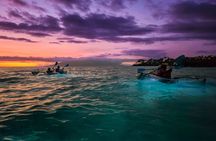 Clear Kayak Sunset and Glow Tour in Maui