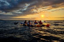 Clear Kayak Sunset and Glow Tour in Maui