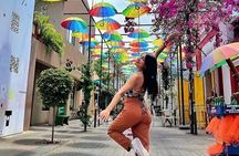 Tour Culture Puerto Plata Amber Chocolate and Colored Umbrella