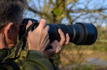 Private Birdwatching Tour with a Guide in Cozumel