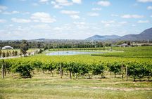 Small-Group Hunter Valley Wine Tasting Tour from Sydney