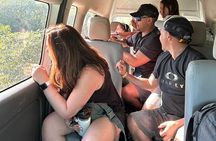 Private Transfer from Merida to Cancun and Chichen Itza on the Way