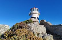 Cape Point Cape of Good Hope and Table Mountain Tour
