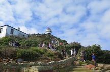Cape Point Cape of Good Hope and Table Mountain Tour