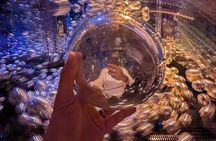 Private Abu Dhabi City Tour with TeamLab Phenomena Abu Dhabi