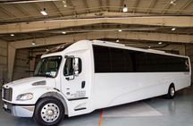 Luxury Minibus Chicago City Tour