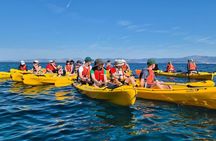 Explore Sutivan by Kayak Activity