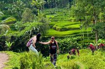 Ubud Private Tour – Waterfalls, Jungle Swing, Rice Terrace & More