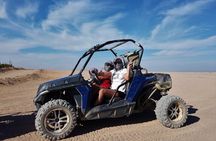 Buggy Car Safari Tour & Camel Ride With Transfer :Marsa Alam