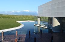 Half Day Wine and Olive Oil in Mendoza. Private Transportation.