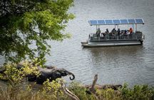 Boat Cruise in the Chobe National Park