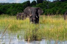 Boat Cruise in the Chobe National Park