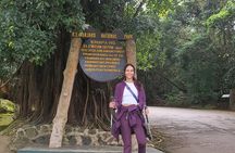 1 - Day Kilimanjaro Hike Challenge