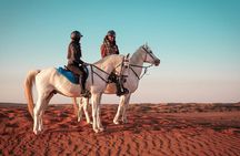 Doha Horseback Riding Adventure in Desert with Transport 