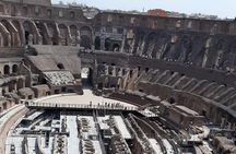 Semi private Arena floor full Experience with the guide 