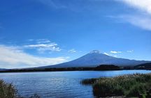Mount Fuji Five Lakes Private Tour (Customizable)