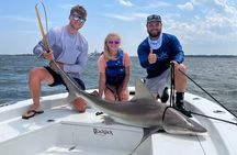 Shark Fishing Charter