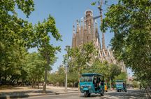 2 Hours Private Barcelona Tuk-Tuk Tour