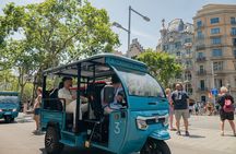 1.5hr Barcelona City and Beach Private Tuk-Tuk Tour