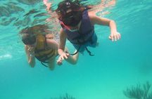 Turtle Snorkeling in Akumal