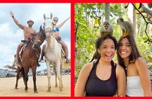 2X1: MonkeyLand plus horseback riding beach in Puerto Plata