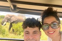 Arusha: 4 Day in Tarangire and Serengeti and Ngorongoro Crater