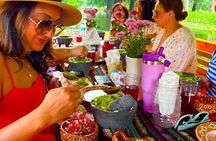 Prehispanic Xochimilco:Sailing Chinampas, axolotls, bird watching