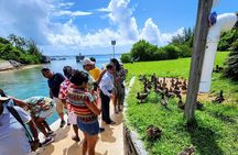  6 Hour Bermuda Shops, Sights and Shores Tour