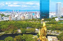 Osaka Castle Walking Tour and Castle Tower Admission