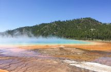 San Francisco to Yellowstone and Las Vegas 7-Day Tour